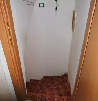 Foto annuncio 12