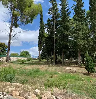 Foto annuncio 12