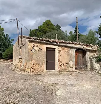 Foto annuncio 15