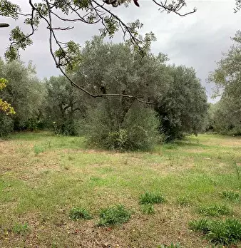 Foto annuncio 3