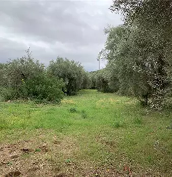 Foto annuncio 4