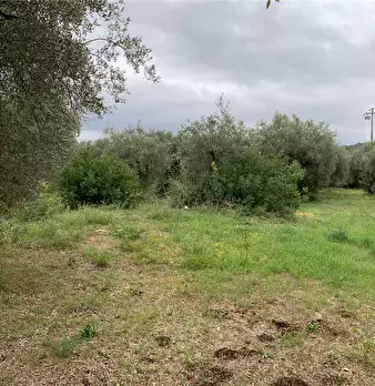 Foto annuncio 5