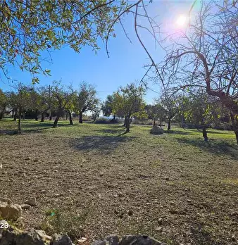 Foto annuncio 10