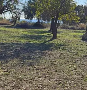 Foto annuncio 11