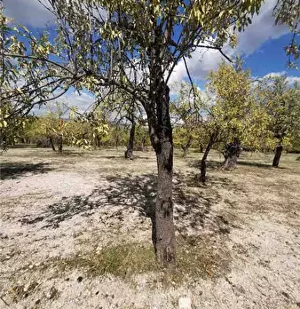 Foto annuncio 3