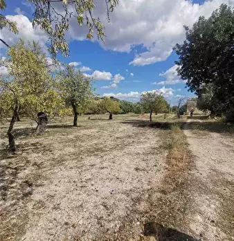 Foto annuncio 6
