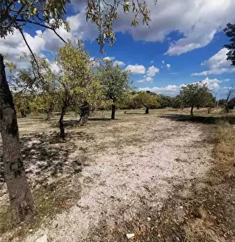 Foto annuncio 8