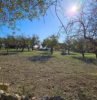 Foto annuncio 9