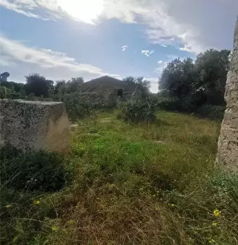 Foto annuncio 10