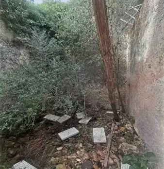 Foto annuncio 14