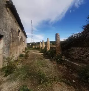 Foto annuncio 3