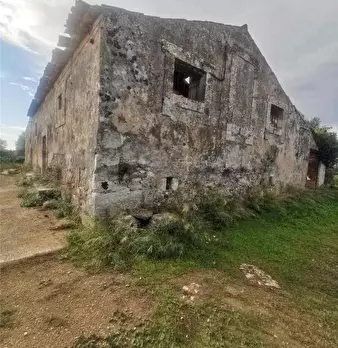 Foto annuncio 4