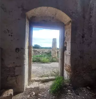 Foto annuncio 5
