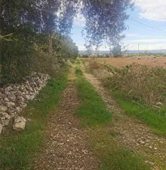 Foto annuncio 8