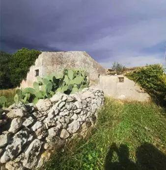 Foto annuncio 9