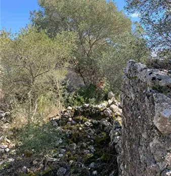 Foto annuncio 8