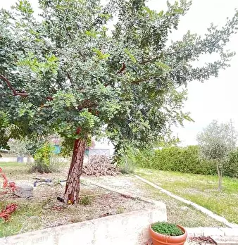 Foto annuncio 10