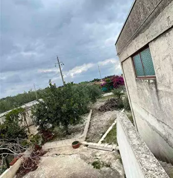 Foto annuncio 11