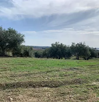 Foto annuncio 10