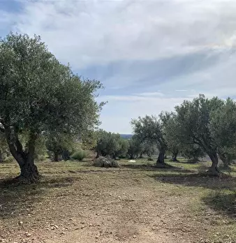 Foto annuncio 4