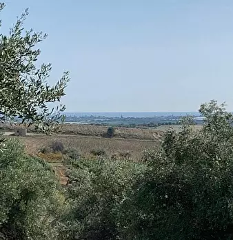 Foto annuncio 5