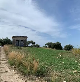 Foto annuncio 6