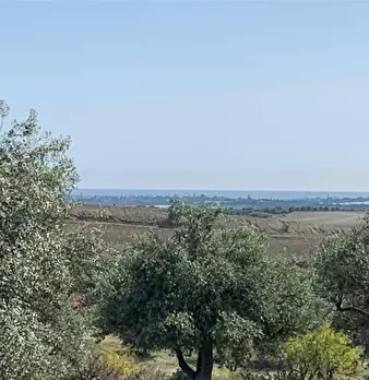 Foto annuncio 8