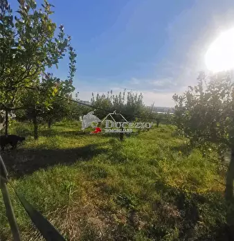 Foto annuncio 11