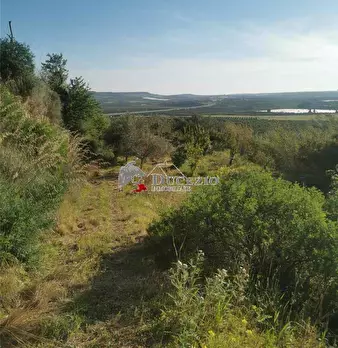 Foto annuncio 4