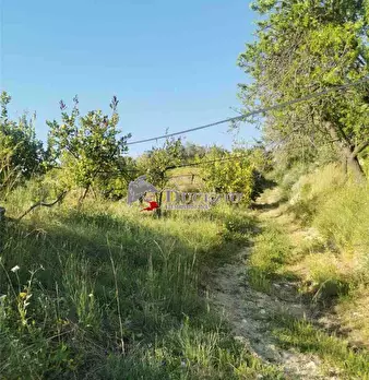 Foto annuncio 8