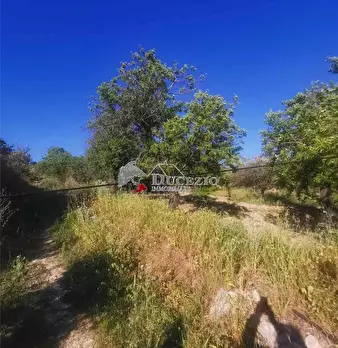 Foto annuncio 9