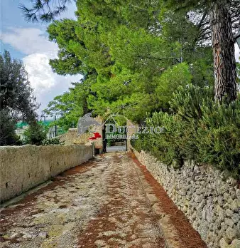 Foto annuncio 5