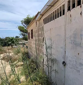Foto annuncio 5
