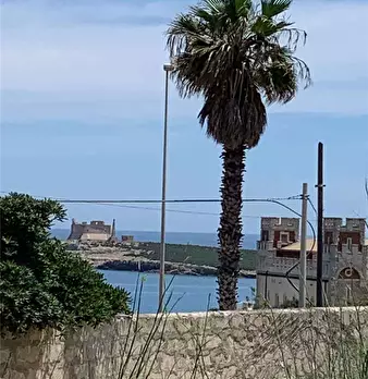 Foto annuncio 7