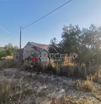 Foto annuncio 12