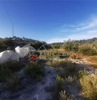 Foto annuncio 5