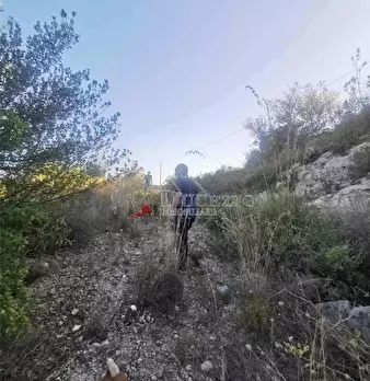 Foto annuncio 6