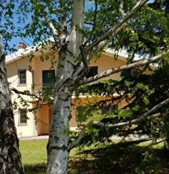 Foto annuncio 2