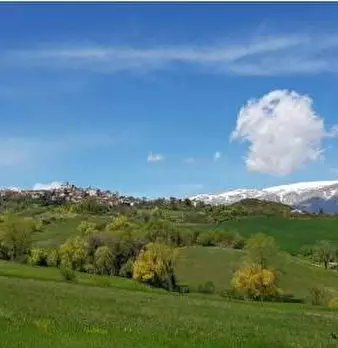 Foto annuncio 4