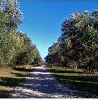 Foto annuncio 13