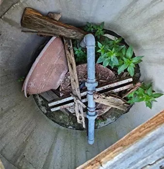 Foto annuncio 12