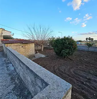 Foto annuncio 14