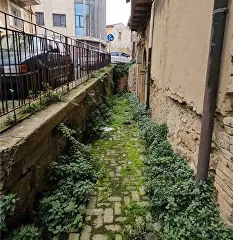 Foto annuncio 3