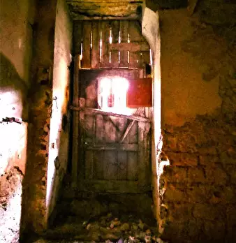 Foto annuncio 7