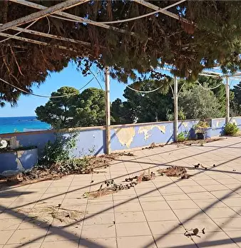 Foto annuncio 5
