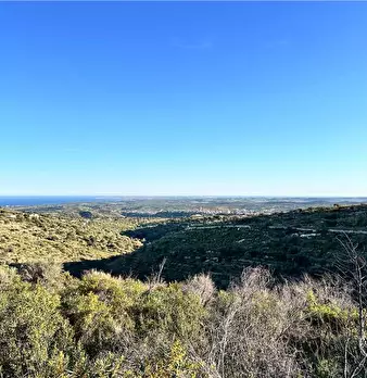 Foto annuncio 12