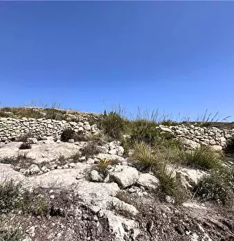 Foto annuncio 4