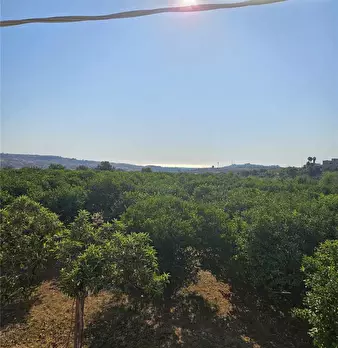 Foto annuncio 12