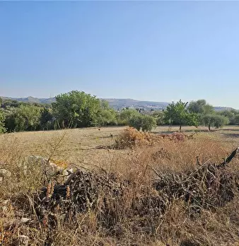 Foto annuncio 13