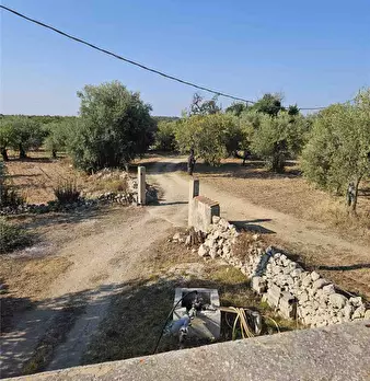 Foto annuncio 15